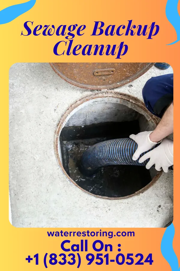 Sewage Backup Cleanup in Atlanta, MO